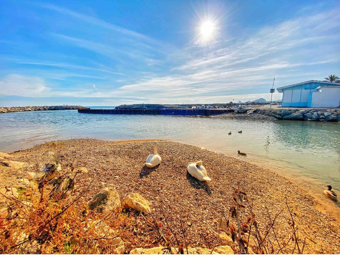 50M Plage / 200M Hippodrome 2 Pieces Jardin Garage Cagnes-sur-Mer Dış mekan fotoğraf